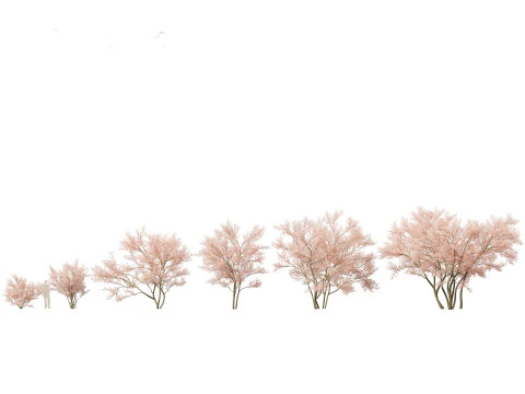 North American Trees Shrubs Pack 43 3D Model