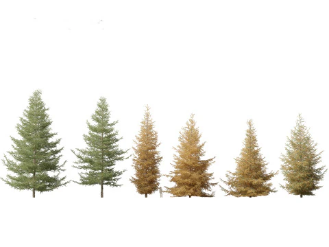 North American Trees Shrubs Pack 43 3D Model