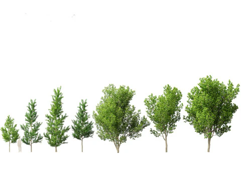 North American Trees Shrubs Pack 43 3D Model