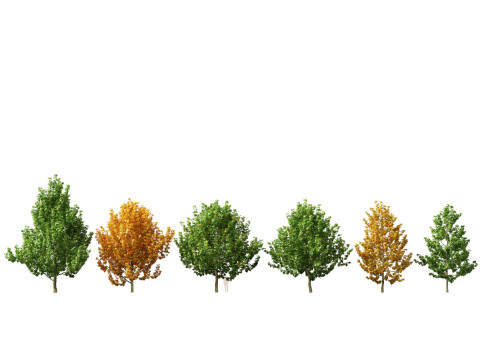 Pacchetto 43 di arbusti di alberi nordamericani Modello 3D