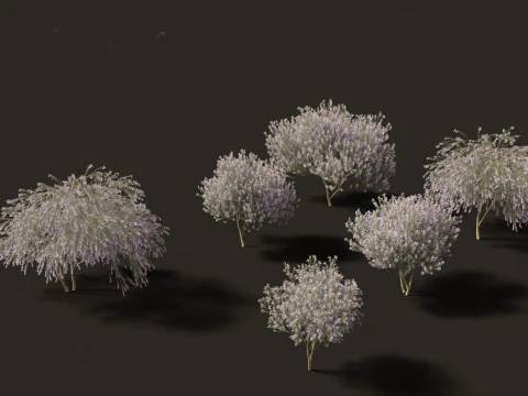 Mediterranean Arid Plants Pack 44 3D Model