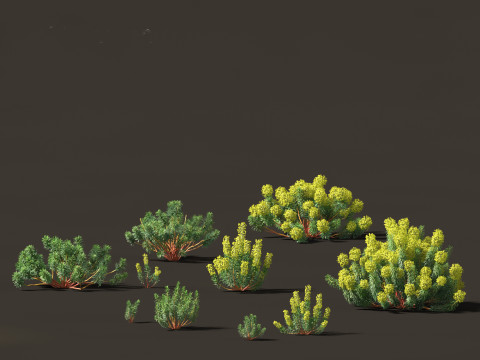 Pack Piante Aride del Mediterraneo 44 Modello 3D