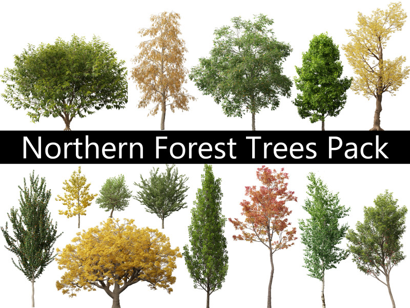 Northern Forest Trees Pack 19 3D Model .c4d .max .obj .3ds .fbx .stl .blend 