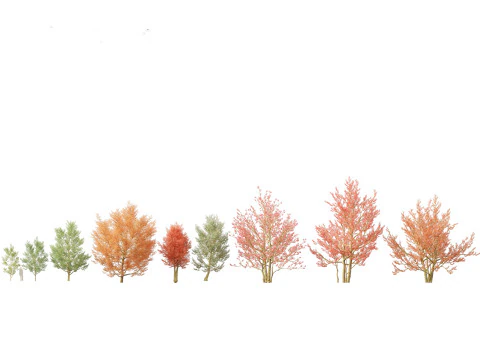 Northern Forest Trees Pack 19 3D Model