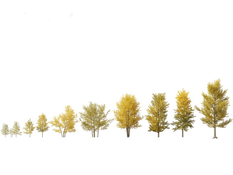 Northern Forest Trees Pack 19 3D Model