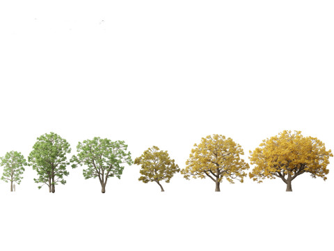Northern Forest Trees Pack 19 3D Model