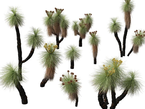 Ornamental Grasses Groundcovers Pack 48 3D Model