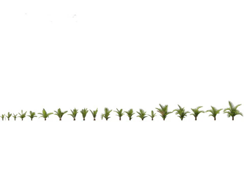 Pacchetto palme esotiche 25 Modello 3D