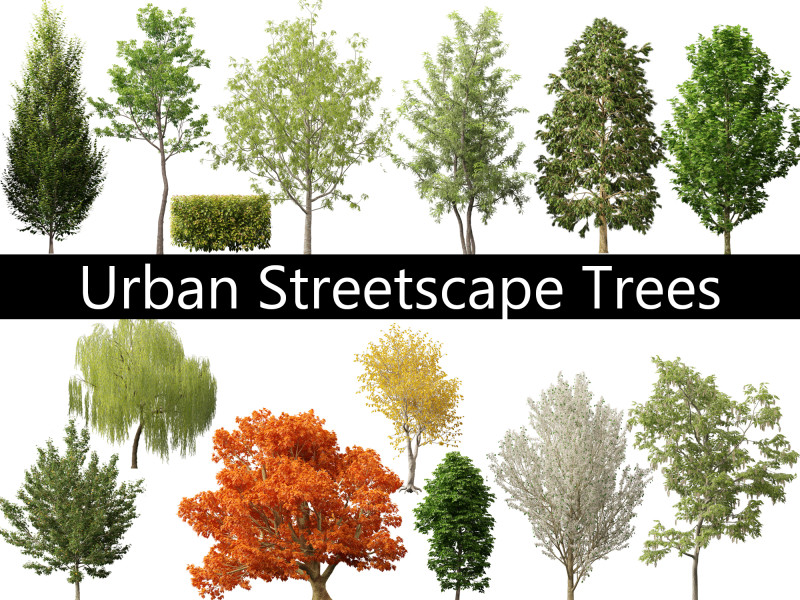 Paquete de árboles de paisaje urbano 11 Modelo 3D .c4d .max .obj .3ds .fbx .stl .blend