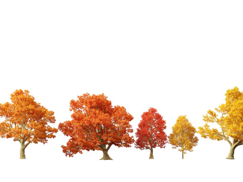 Paquete de &aacute;rboles de paisaje urbano 11 Modelo 3D