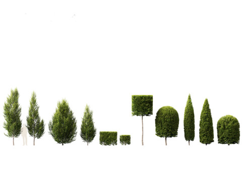 Paquete de &aacute;rboles de paisaje urbano 11 Modelo 3D