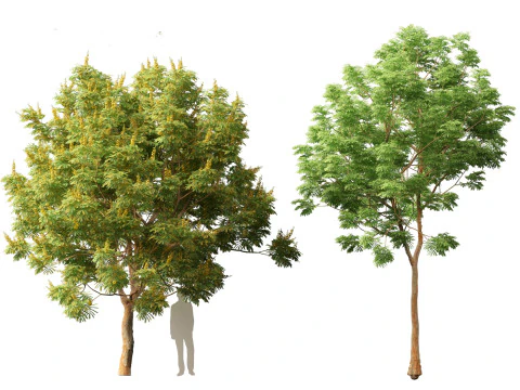 Tropical Subtropical Trees Pack 463Ds Max 3D Model