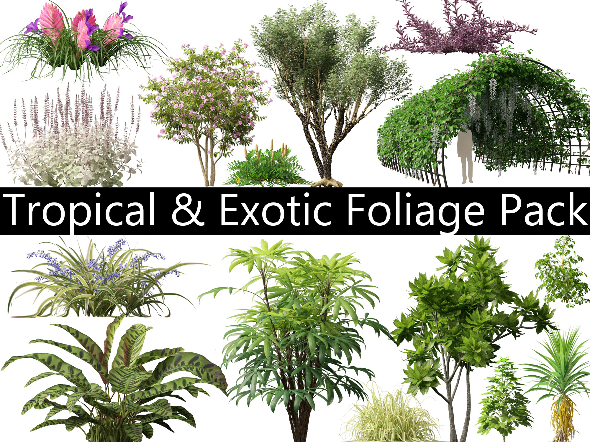 Tropical Exotic Foliage Pack 49 3D Model .c4d .max .obj .3ds .fbx .stl .blend