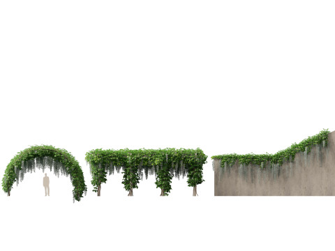 Pacote de Folhagens Ex&oacute;ticas Tropicais 49 Modelo 3D