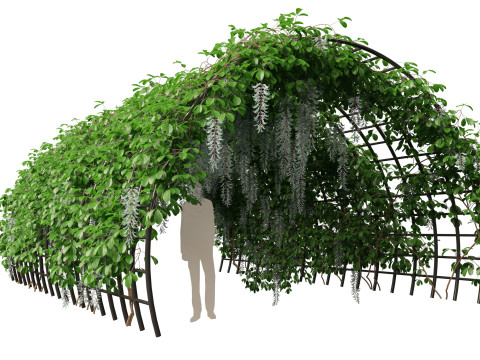 Pacote de Folhagens Ex&oacute;ticas Tropicais 49 Modelo 3D