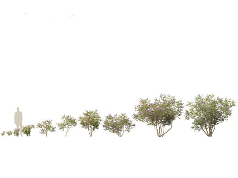 Tropical Exotic Foliage Pack 49 3D Model