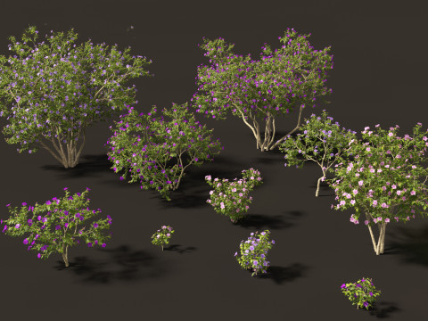 Pacote de Folhagens Ex&oacute;ticas Tropicais 49 Modelo 3D