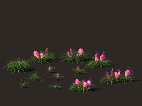 Pacote de Folhagens Ex&oacute;ticas Tropicais 49 Modelo 3D