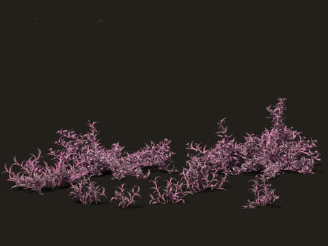 Pacote de Folhagens Ex&oacute;ticas Tropicais 49 Modelo 3D