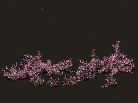 Tropical Exotic Foliage Pack 49 3D Model