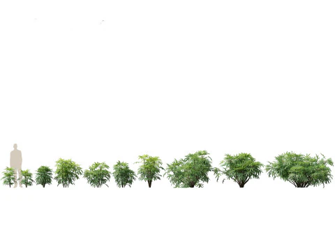 Tropical Exotic Foliage Pack 49 3D Model