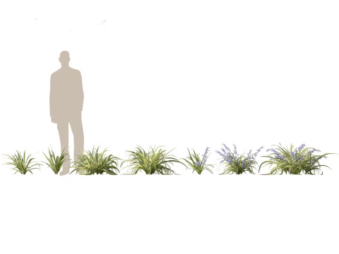 Tropical Exotic Foliage Pack 49 3D Model