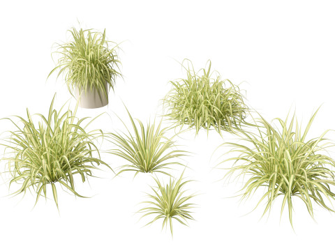 Pacote de Folhagens Ex&oacute;ticas Tropicais 49 Modelo 3D