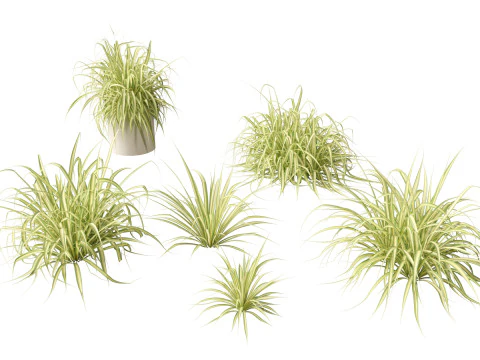Tropical Exotic Foliage Pack 49 3D Model