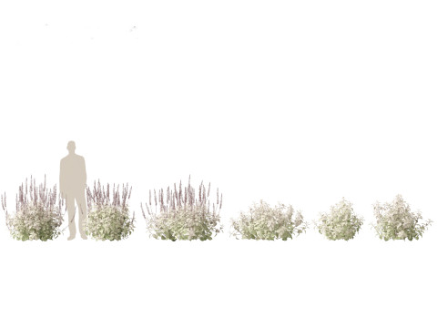 Pacote de Folhagens Ex&oacute;ticas Tropicais 49 Modelo 3D