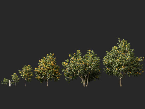 HighpolyLow Poly Saraca Thaipingensis - Amarelo Ashoka Modelo 3D