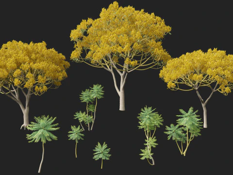 HighpolyLow Poly Schizolobium Parahyba Brazylijskie drzewo paproci Model 3D