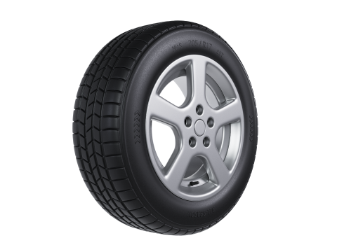 Tire all-season 205 R17 95T 3Dモデル