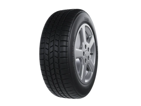 Tire all-season 205 R17 95T 3D Model