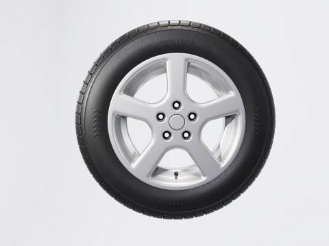 Tire all-season 205 R17 95T 3D Model