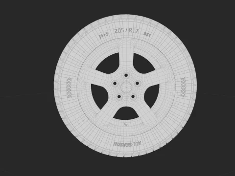 Tire all-season 205 R17 95T 3D Model