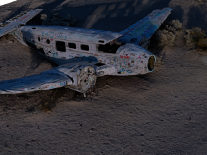 Plane crash 3D Model