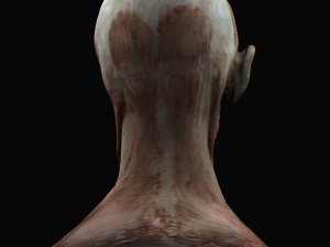 Uteness Modelo 3D
