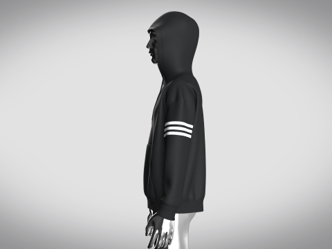 Adidas Adicolor Neuclassics Hoodie 3D Model