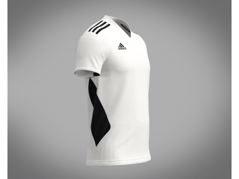 Adidas mi Regista 20 Model 3D