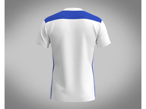 ADIDAS REGISTA 18 JERSEY 3D Model