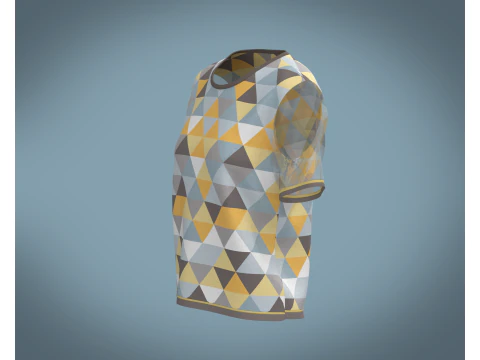 Ladies Triangle Print Tops 3D Model
