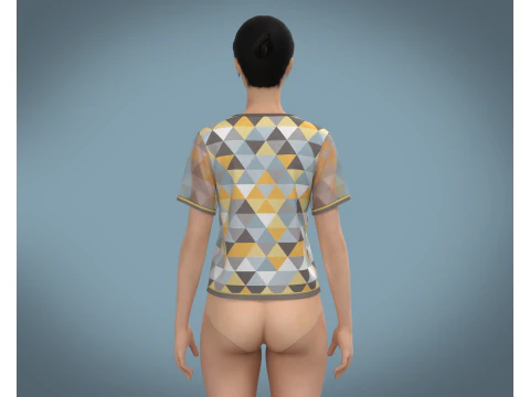 Ladies Triangle Print Tops 3D Model