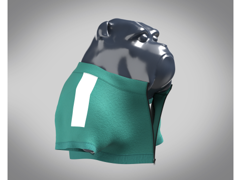 Bulldog - Squid Game Players Uniform 456 Modelo 3D
