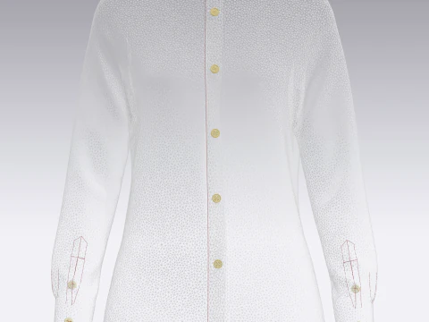 Ladies Long Sleeve Gold Print Shirt 3D Model