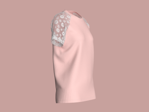 Ladies Raglan Tops Model 3D