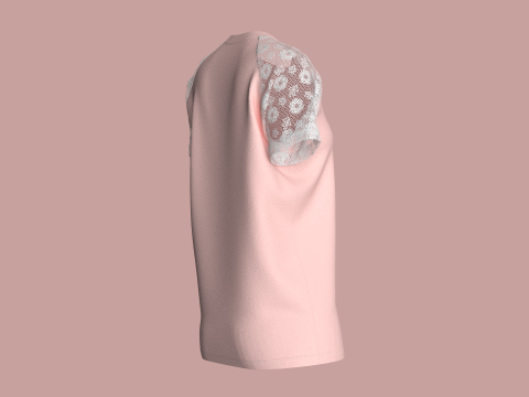 Ladies Raglan Tops Model 3D