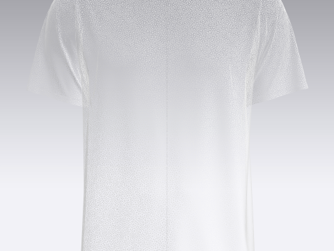 Tshirt - Paisley 3D Model