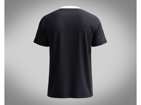 T-Shirt - The 1975 Model 3D