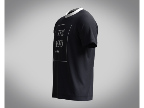 T-Shirt - The 1975 Model 3D