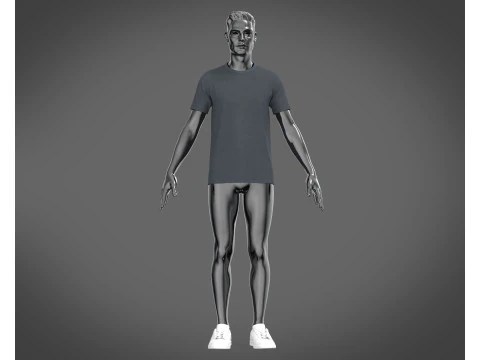 T-Shirt 6 Styles Pack 3D Model